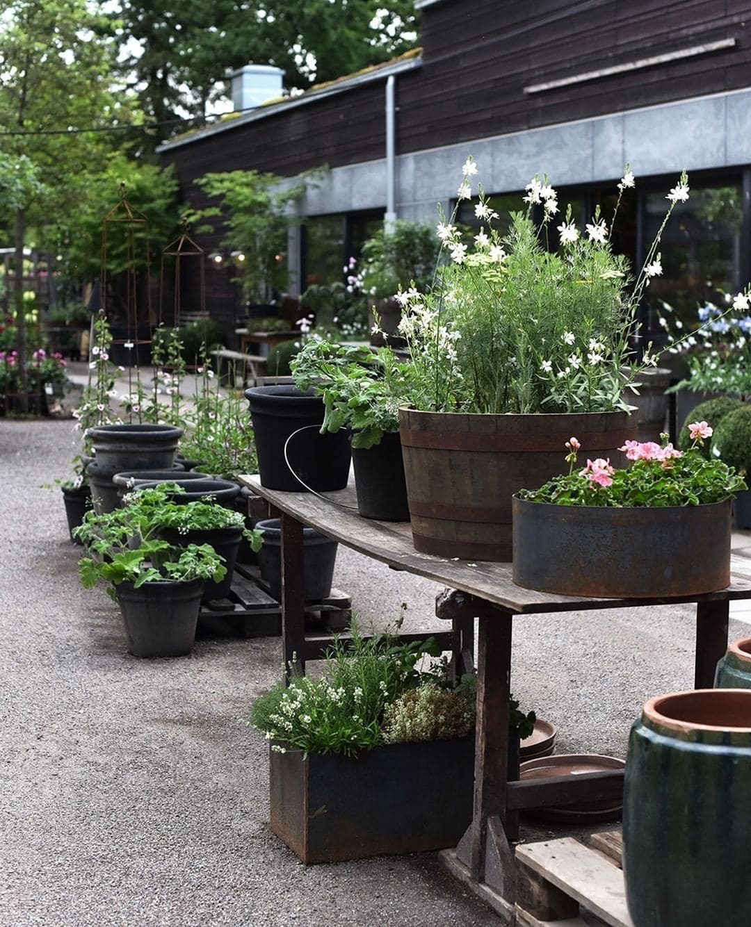 Houten halve tonnen als plantenbak in rustieke tuin, gevuld met kleurrijke bloeiende bloemen.